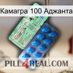 Камагра 100 Аджанта new02